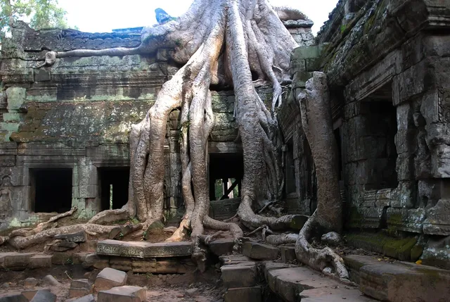 The killing fields cambodia