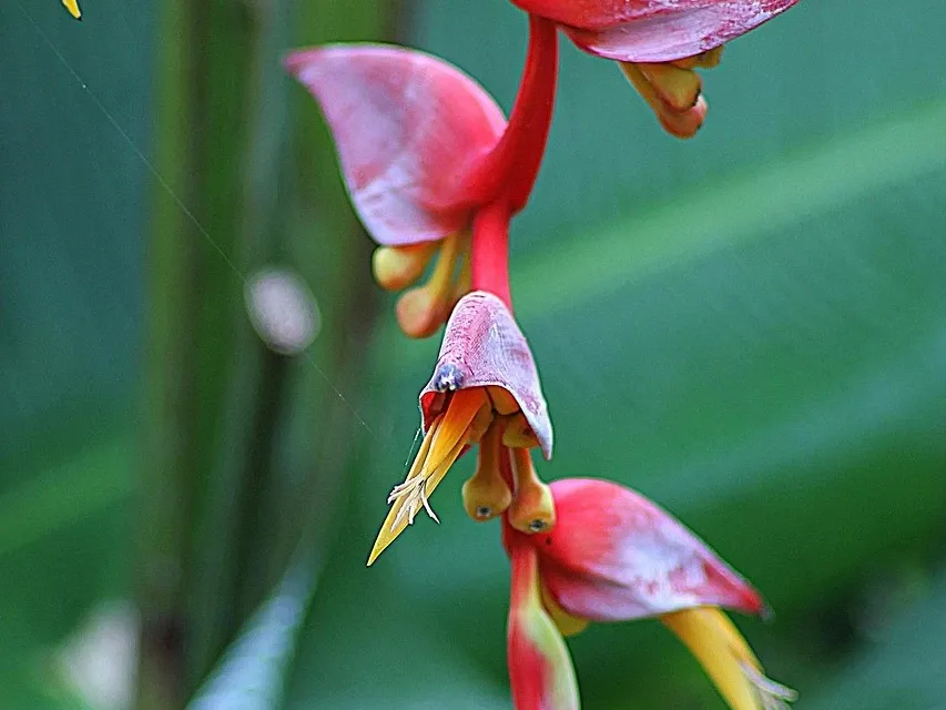 espejo