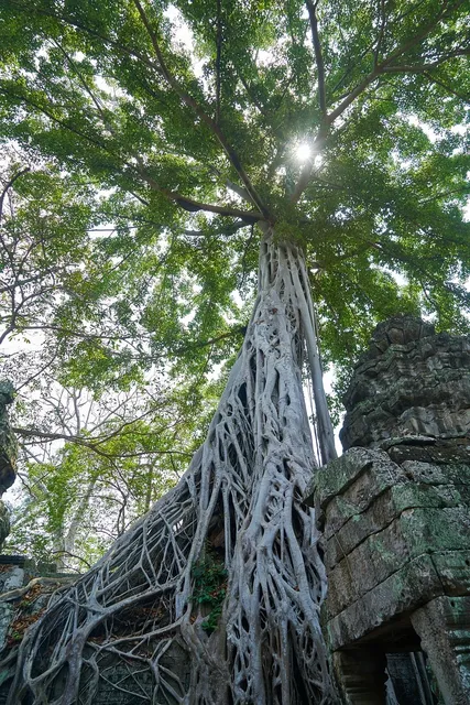 Angkor Wat