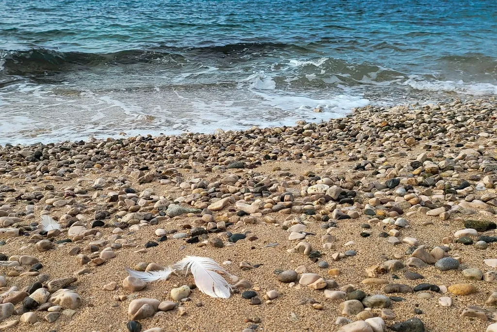 Carboneras Beach