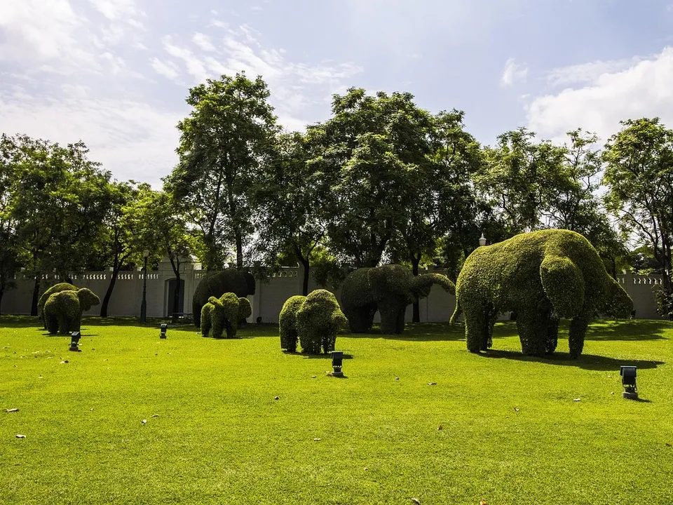 elephants