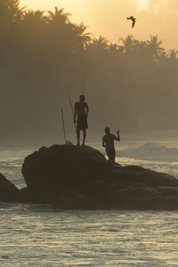 train travel sri lanka pin pinterest