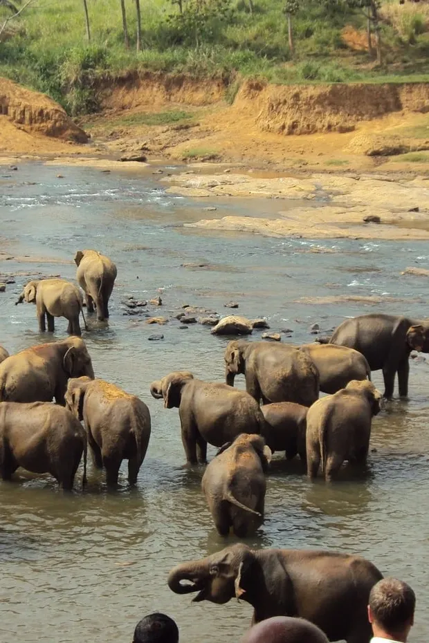 a-girls-guide-to-sri-lanka