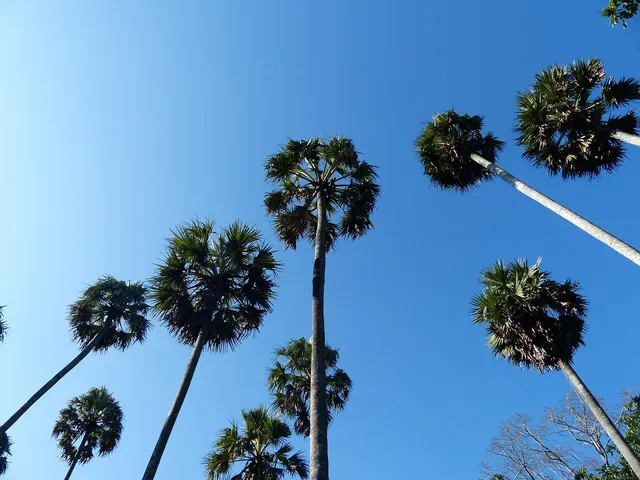 Galle Tuk Tuk, Sri Lanka