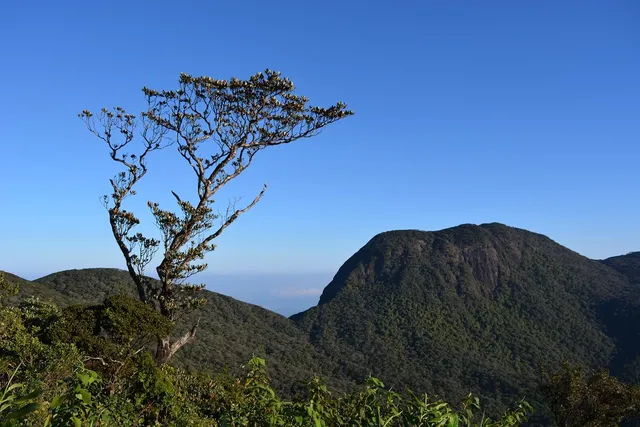 The Rockface Homestay Ella