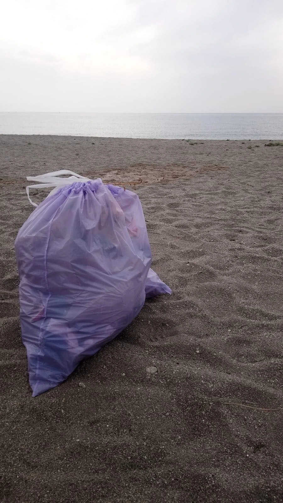 Plastic Pollution